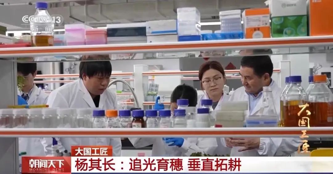 1747289939543751.jpg 微信图片_20250515141343.jpg