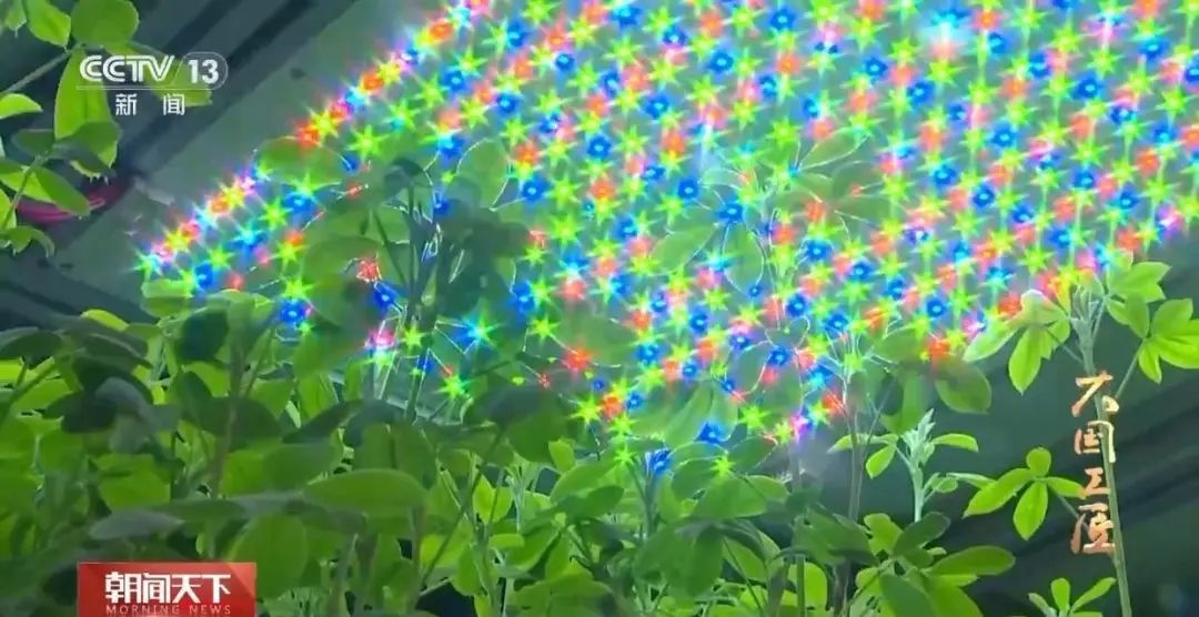 1747289950676236.jpg 微信图片_20250515141350.jpg