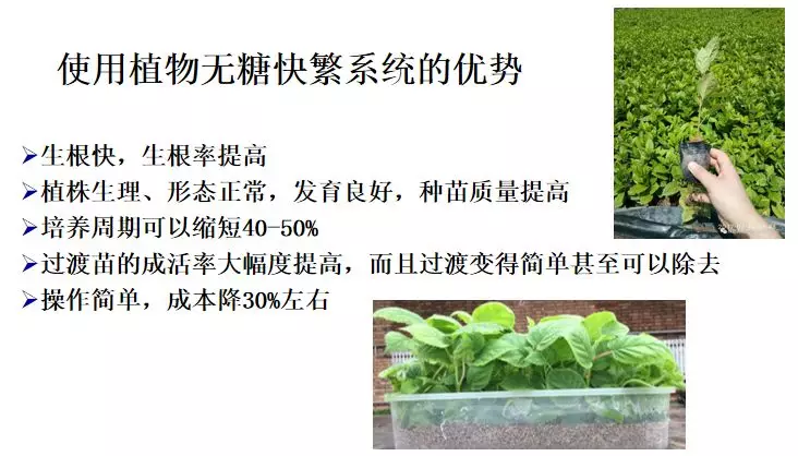 640wx_fmt=png&tp=webp&wxfrom=5&wx_lazy=1&wx_co=1.jpg