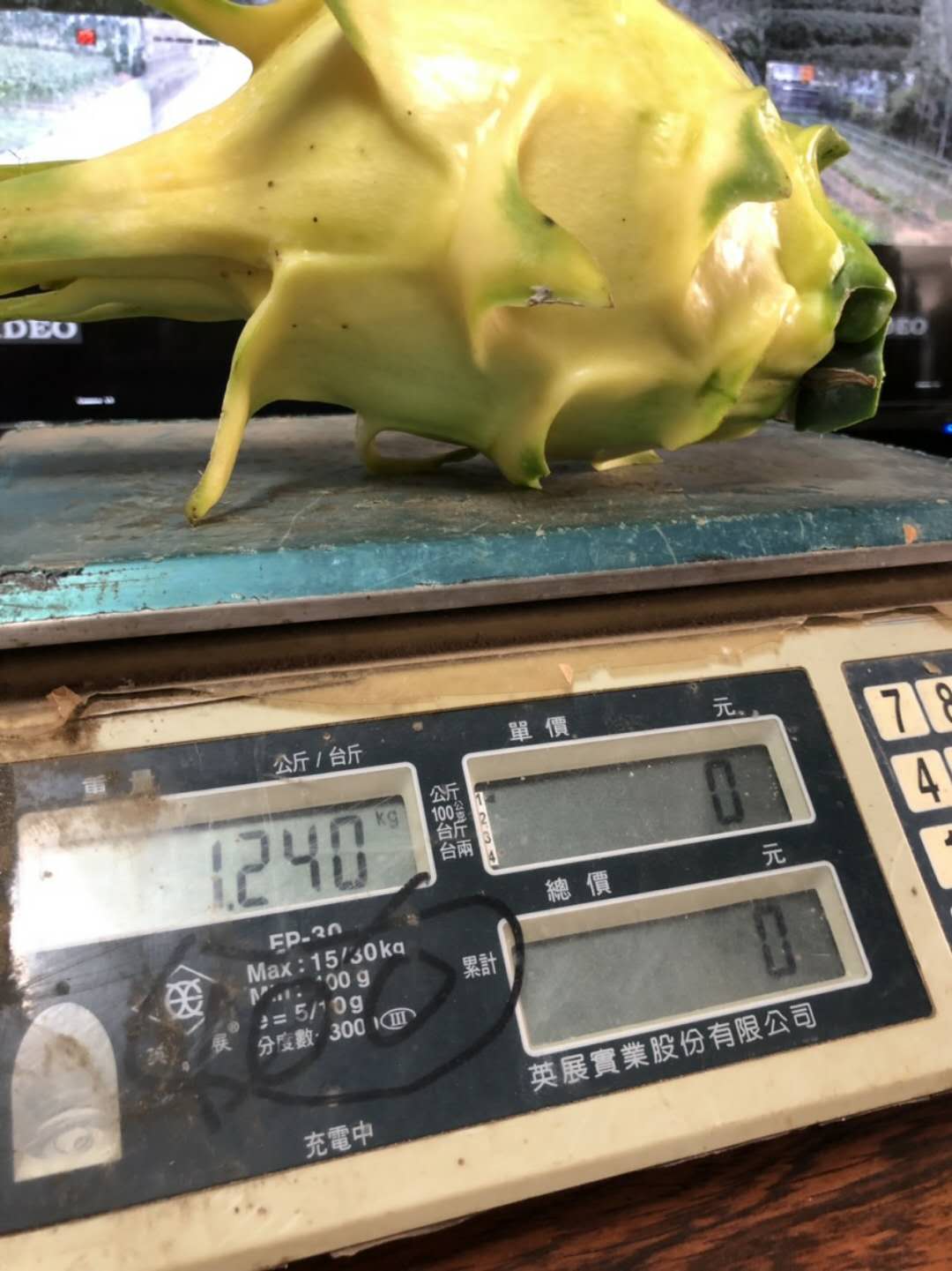 火龙果1.jpg