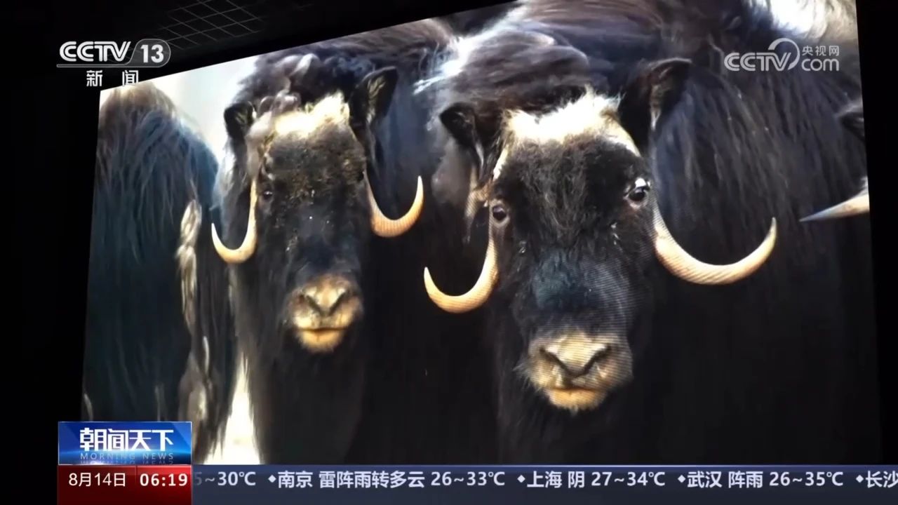 微信图片_20240815151333.jpg