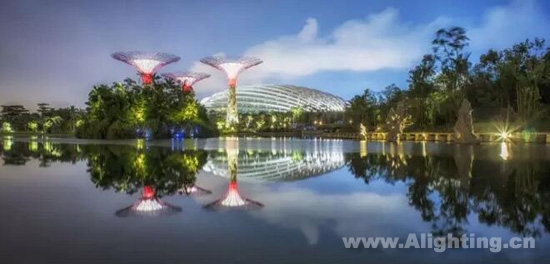 有机照明的娱乐天地:新加坡滨海湾花园照明设计详解3.jpg