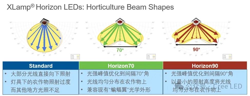 微信图片_20240613152333.jpg