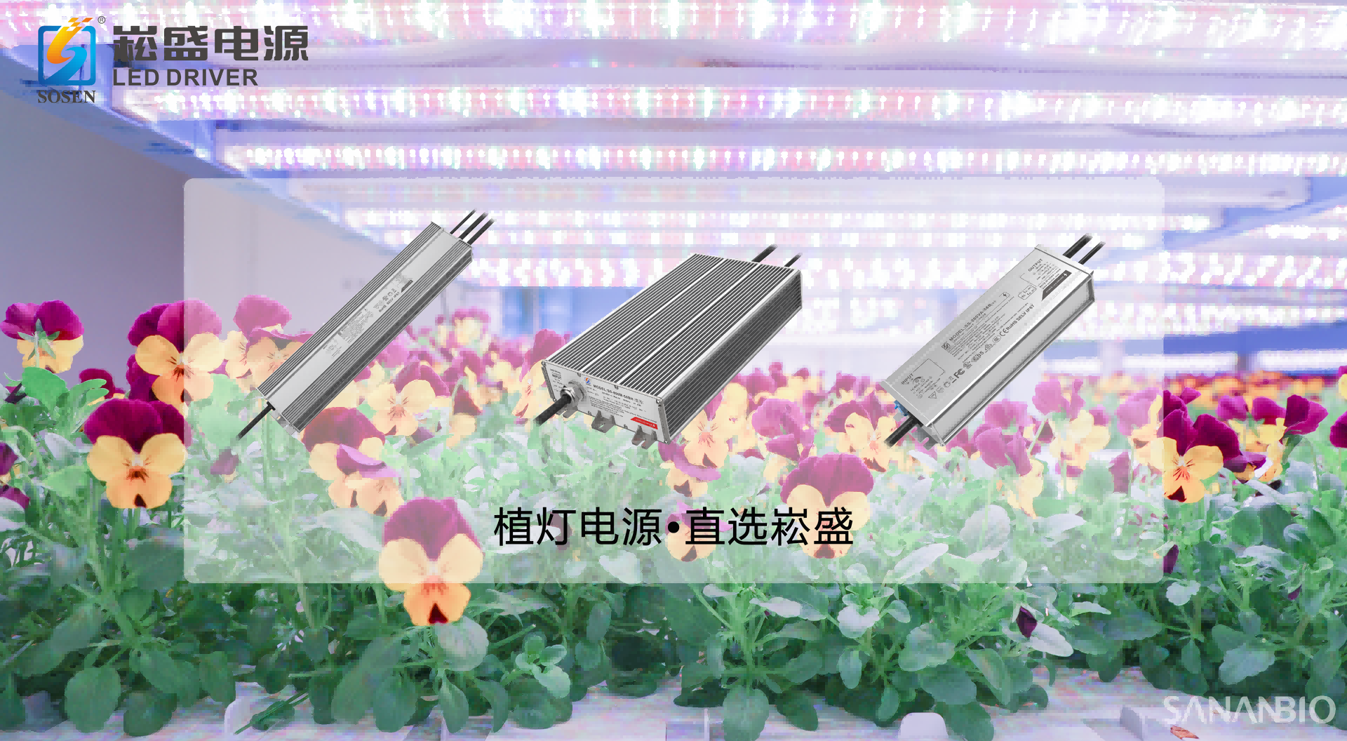 9.png