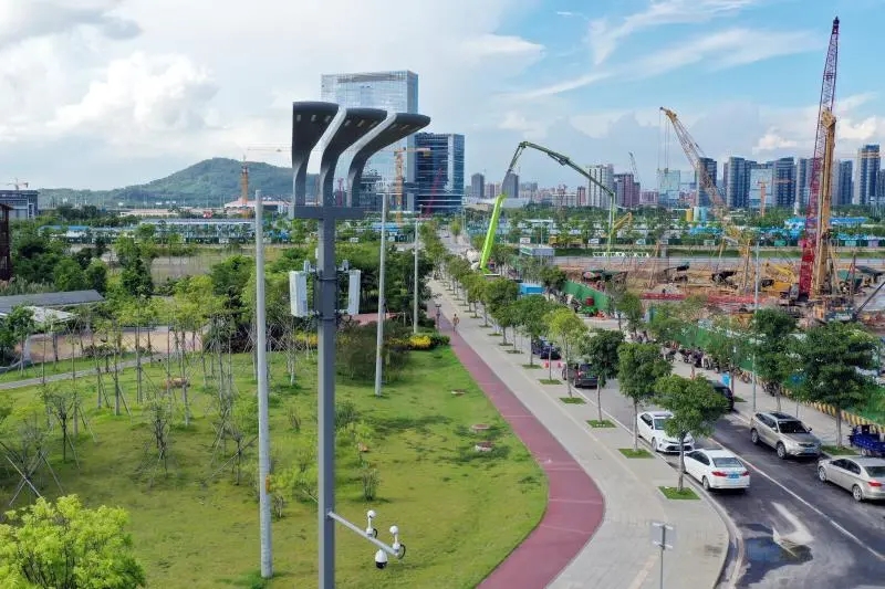 南沙1.webp.jpg