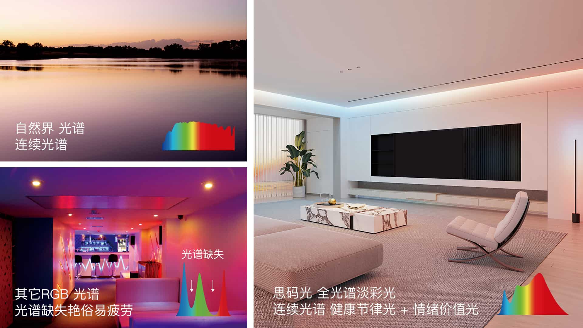 微信图片_20250117170115.jpg