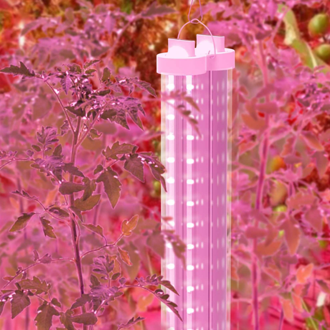 640 (4).png