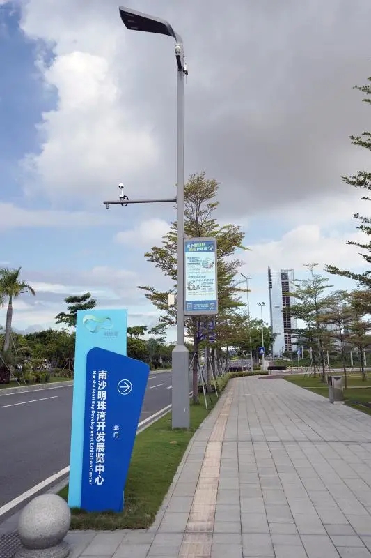 南沙2.webp.jpg