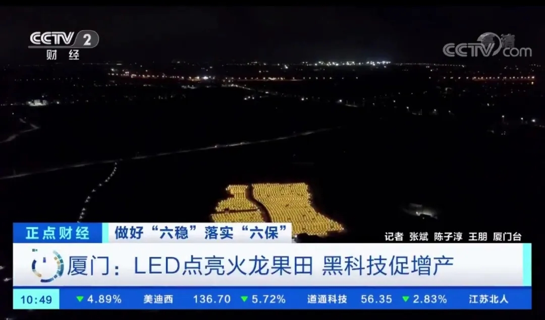 火龙果5.webp.jpg