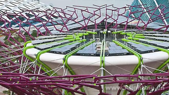 有机照明的娱乐天地:新加坡滨海湾花园照明设计详解6.jpg