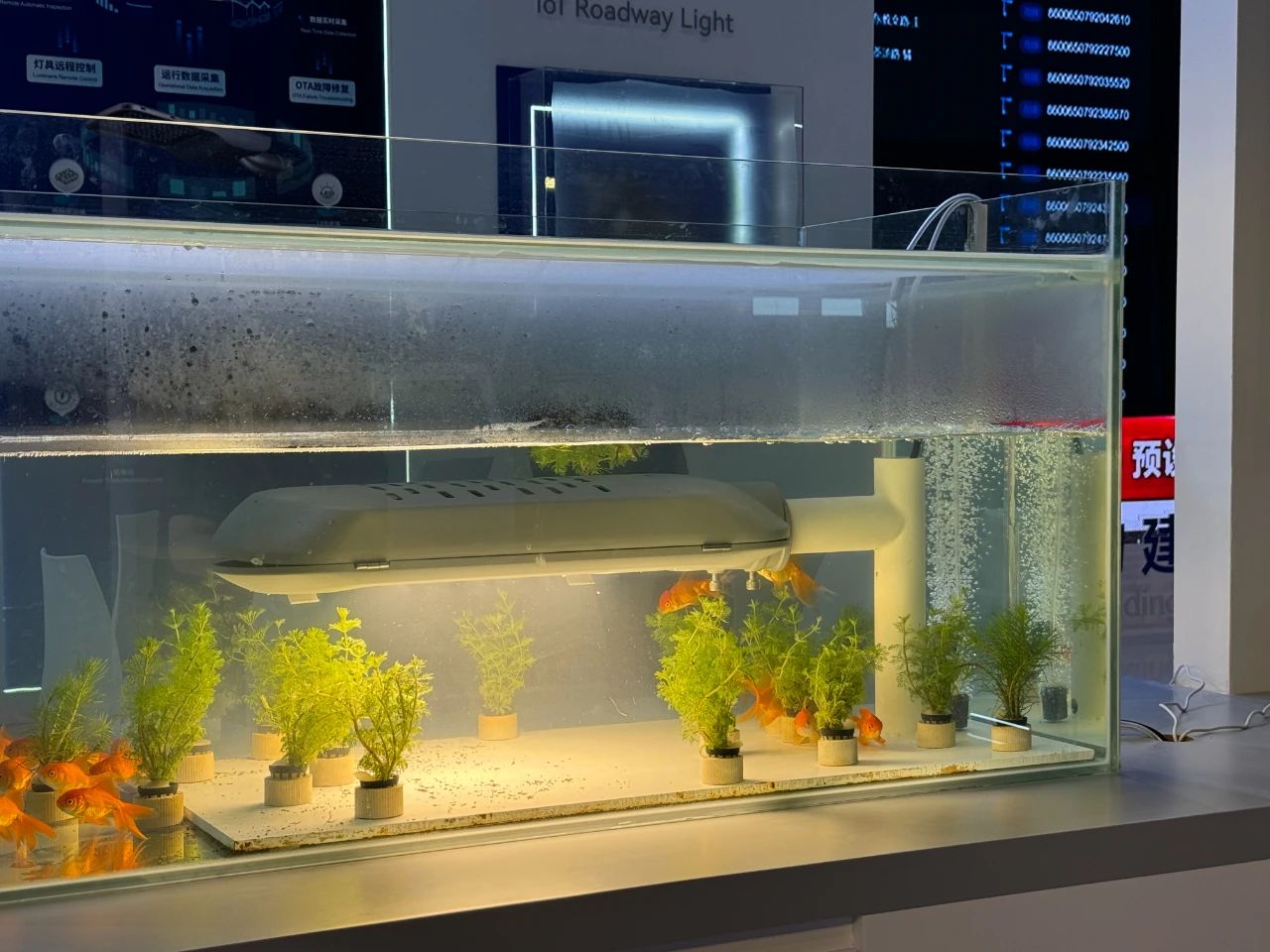 微信图片_20250610144651.jpg
